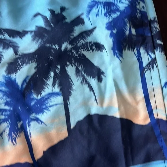 Mens Bass Pro Shop board shorts size L - Picture 2 of 4